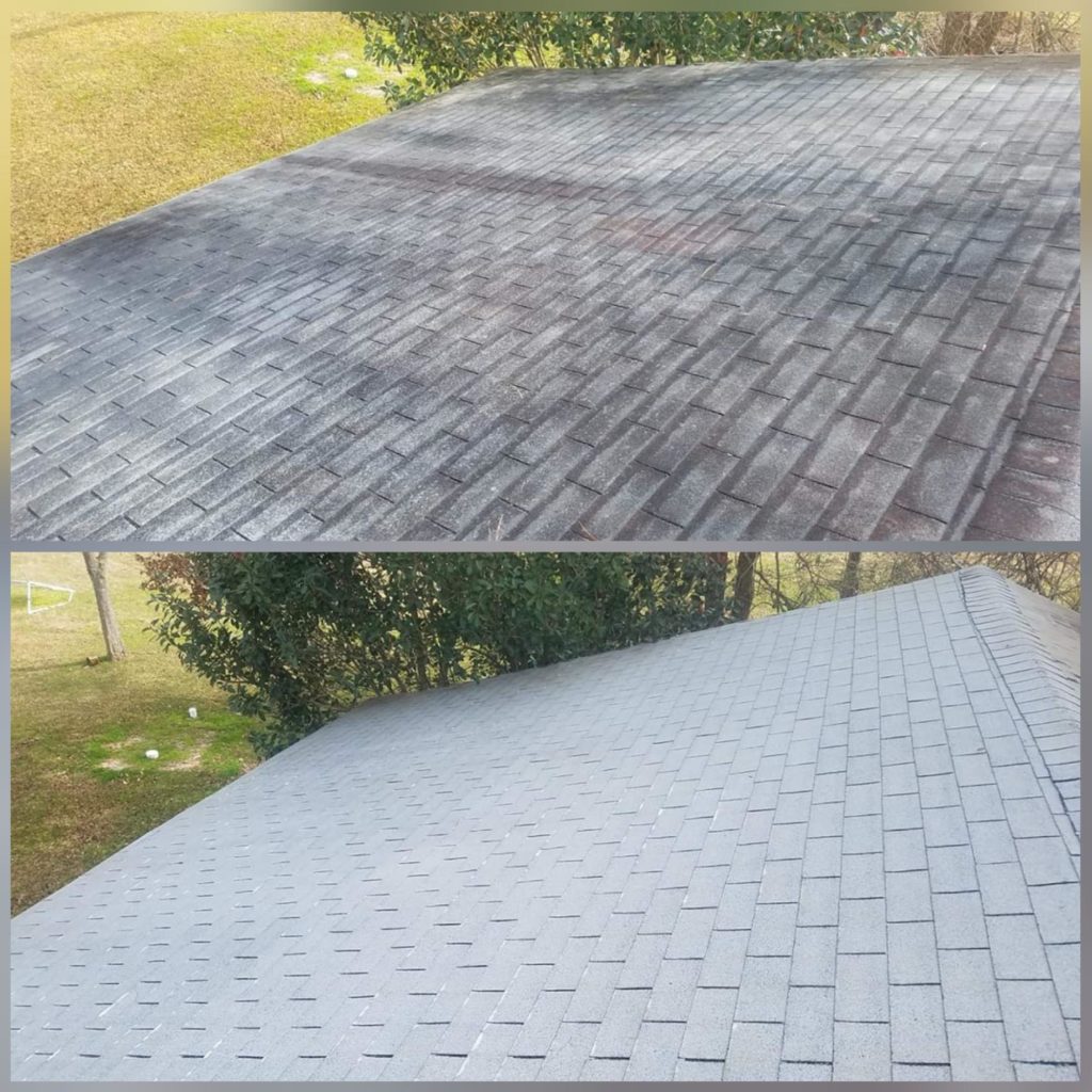 roof before and after cleaning