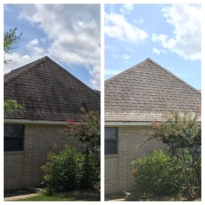 Home Roof Cleaning