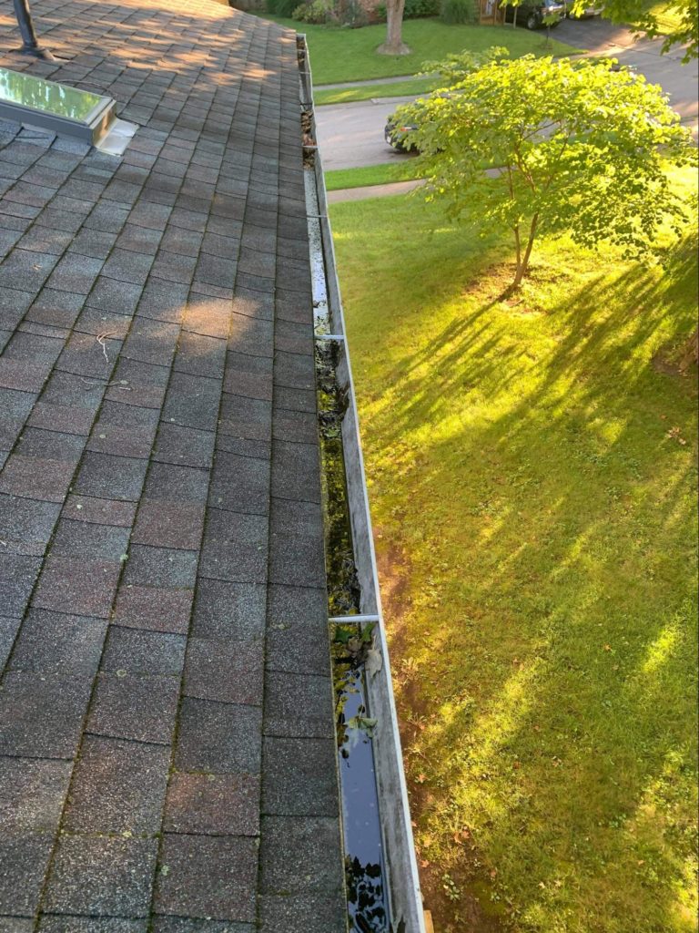 Gutter Service Cleaning