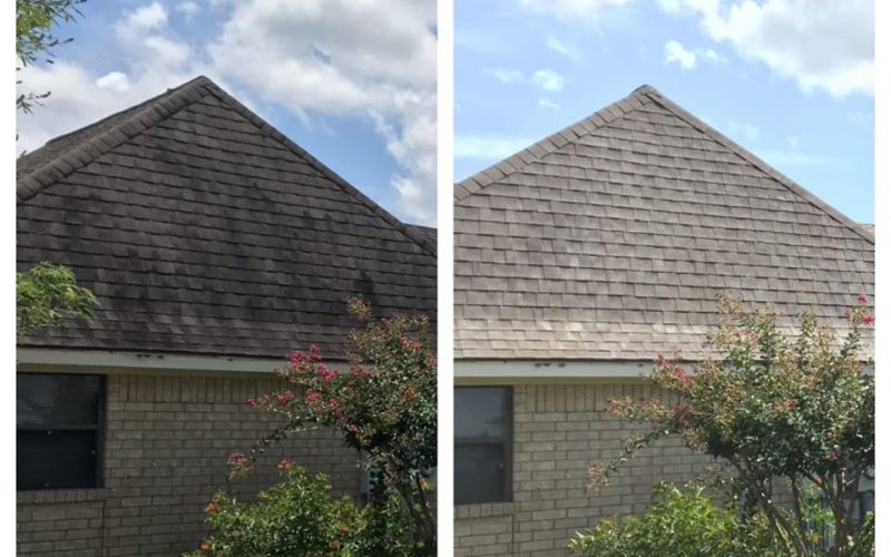 roof cleaning